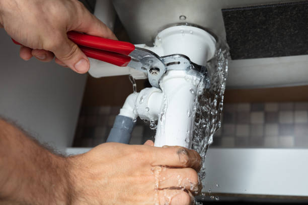 Best Basement water damage restoration  in Ely, MN