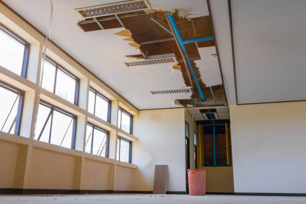 Best Flood restoration services  in Ely, MN