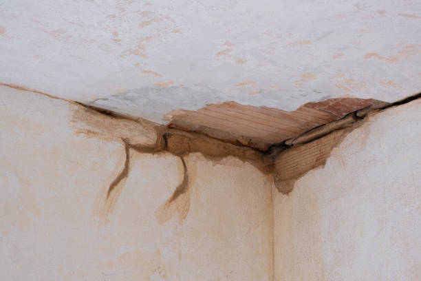 Best Basement water damage restoration  in Ely, MN