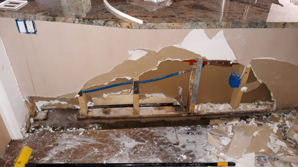 Best Mold removal after water damage  in Ely, MN