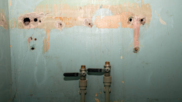 Best Sewage cleanup and water damage restoration  in Ely, MN