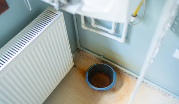  Ely, MN Water damage restoration Pros