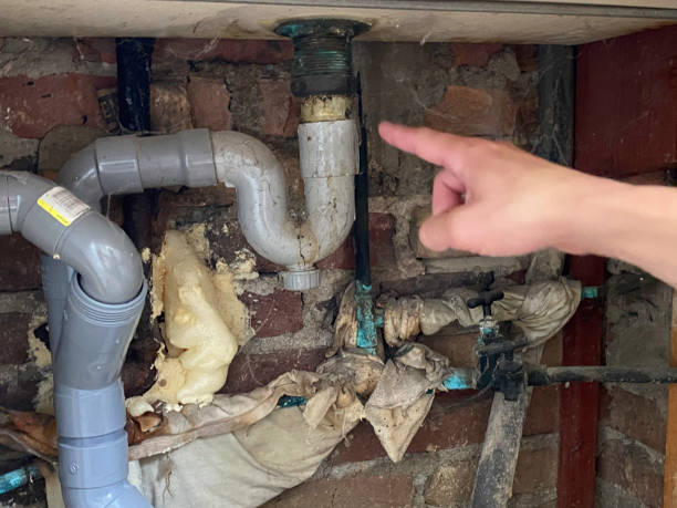 Best Professional water damage repair  in Ely, MN