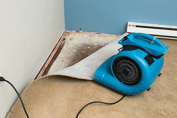Best Emergency water damage restoration  in Ely, MN