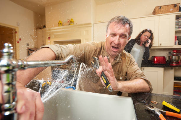Best Fire Damage Restoration  in Ely, MN